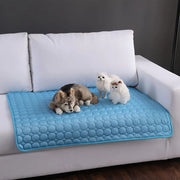 Dog Cooling Mat Summer - Pawbie
