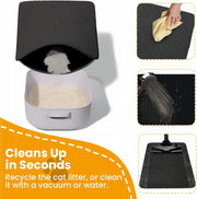 Cat Litter Mat Double Layer